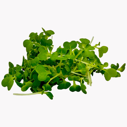 Šalátový boost set semienok microgreens