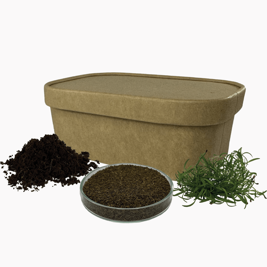 Súprava na pestovanie | Mrkva 