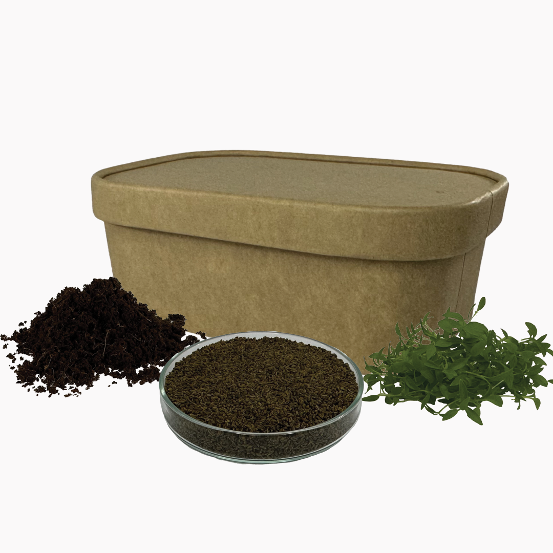 Súprava na pestovanie | Petržlen 