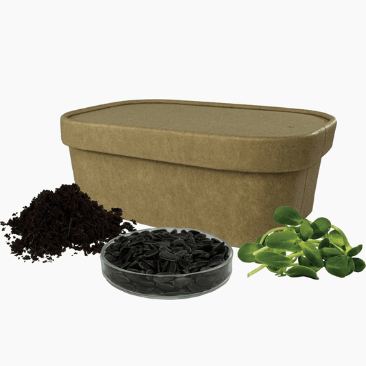 Súprava na pestovanie | Slnečnica 